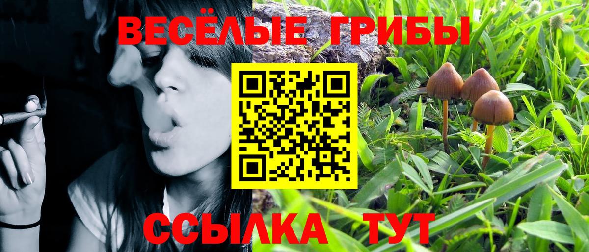 Псилоцибиновые грибы мицелий  Галлюциногенные грибы мухоморы  Вход с VPN  продажа наркотиков  Ступино 